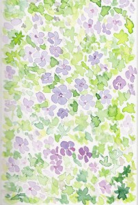 ゲラニウム。 'ジョンソンズブルー'かな