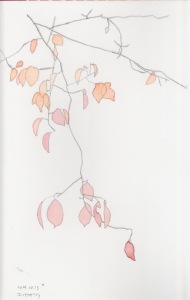 エゾヤマザクラ