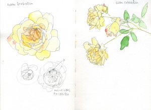 ゴールデンセレブレーション