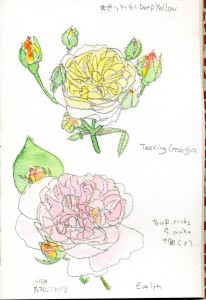 Teasing Georgia /  Evelyn