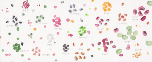 あさってから豆サミットに参ります スケッチぐらし